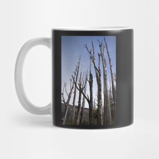 tree trunks Mug